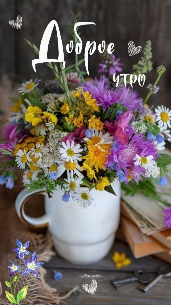 июньское утро