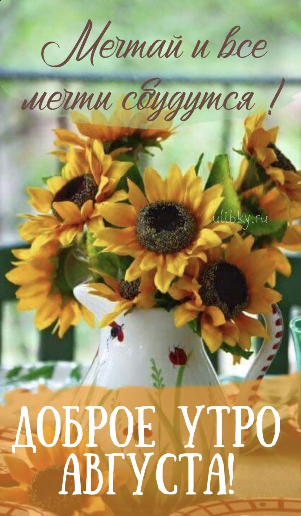 с добрым утром подсолнухи