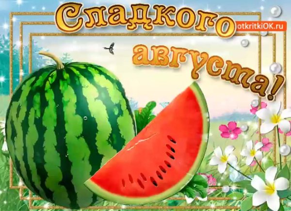 С 1 днем августа прикольные