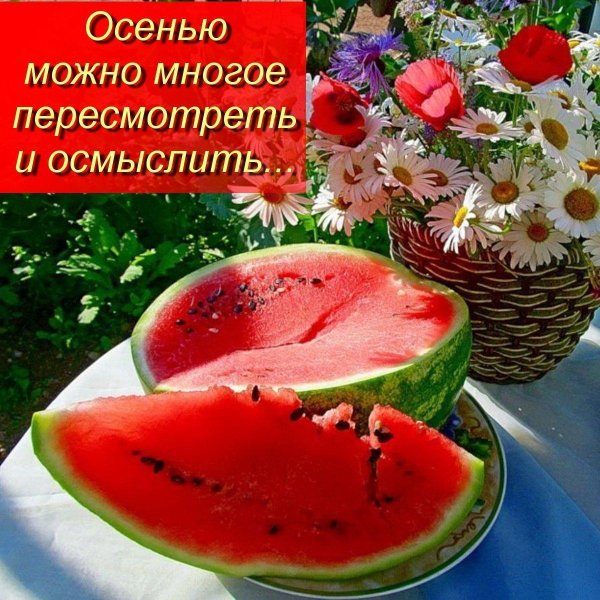 арбуз большой