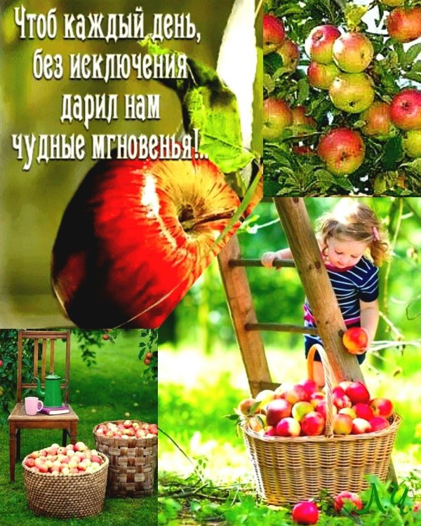 яблочный спас 19 августа