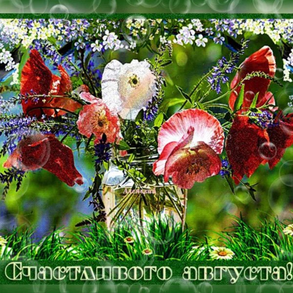 прекрасного августа