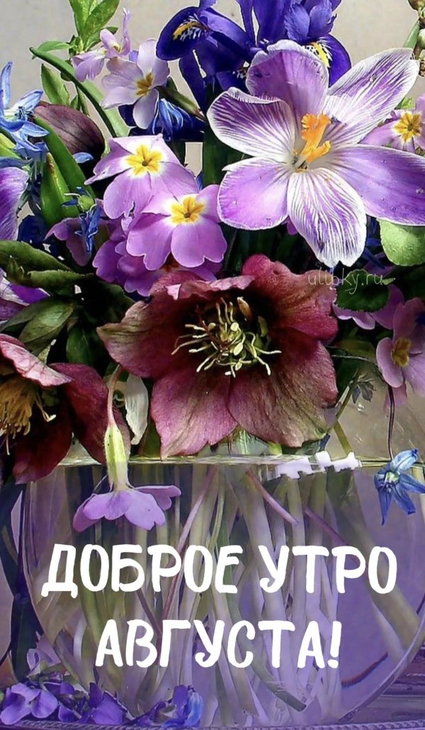 доброго утра августа красивые