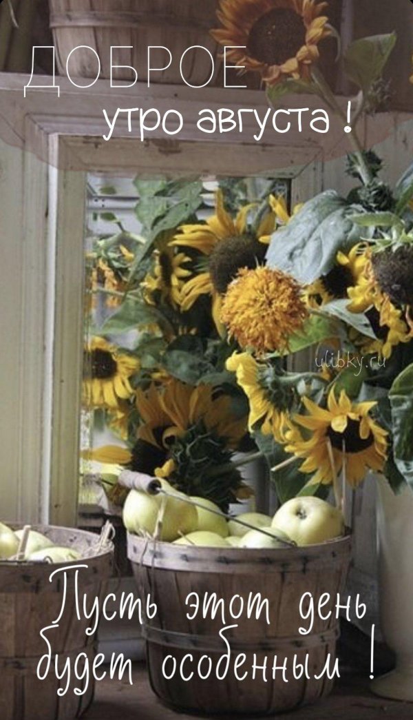 доброго утра август
