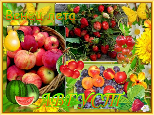 месяц август