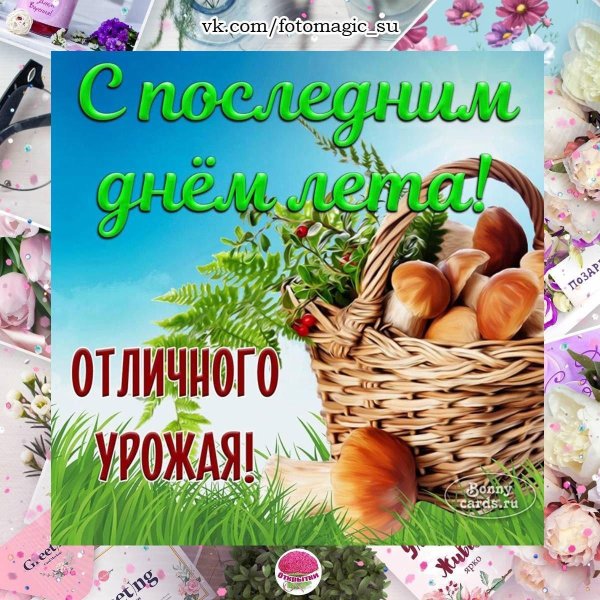 последние дни лета
