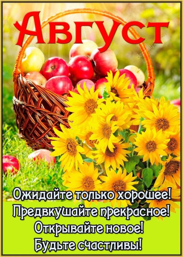 счастливого августа