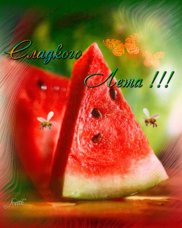 открытка арбуз