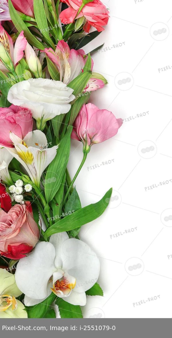 цветочные композиции на прозрачном фоне