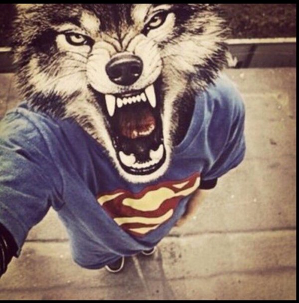 даня сабуров