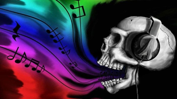 череп скелет