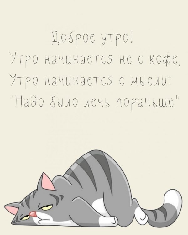 мысли с утра