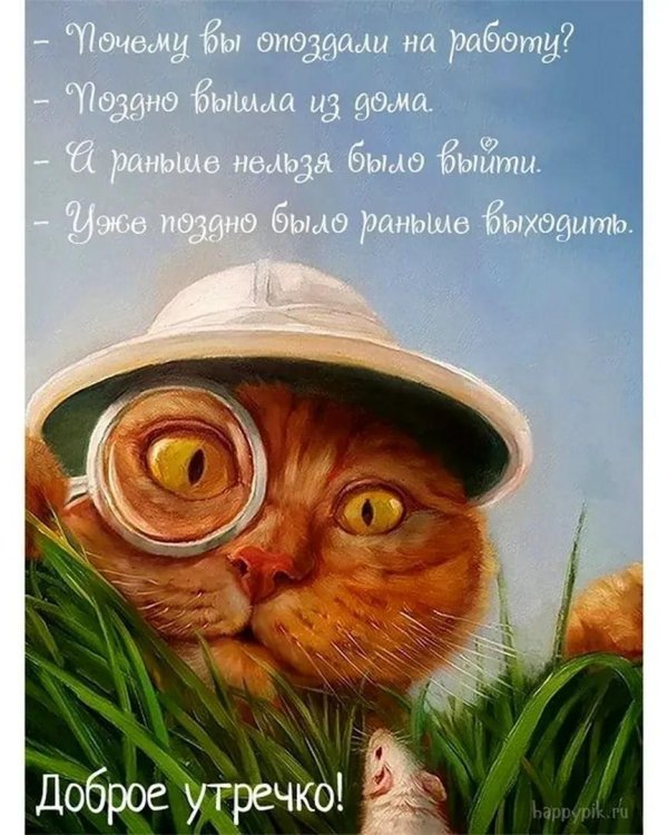 прикольного доброго утра