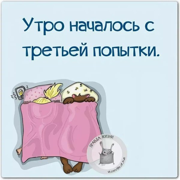 утро начинается в обед