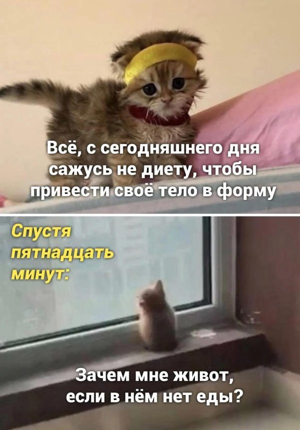 весь сегодняшний день