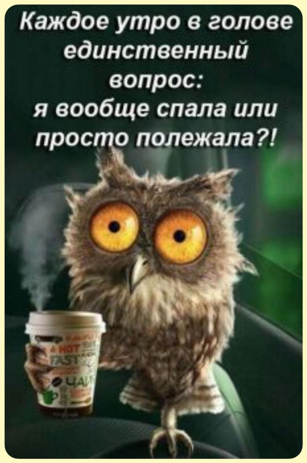 я вообще спала или просто полежала