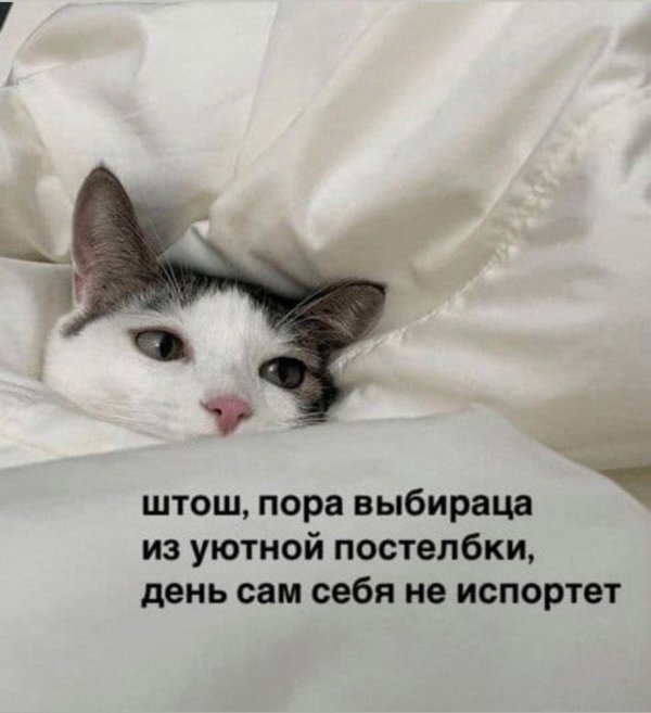 опять эти ваши утры