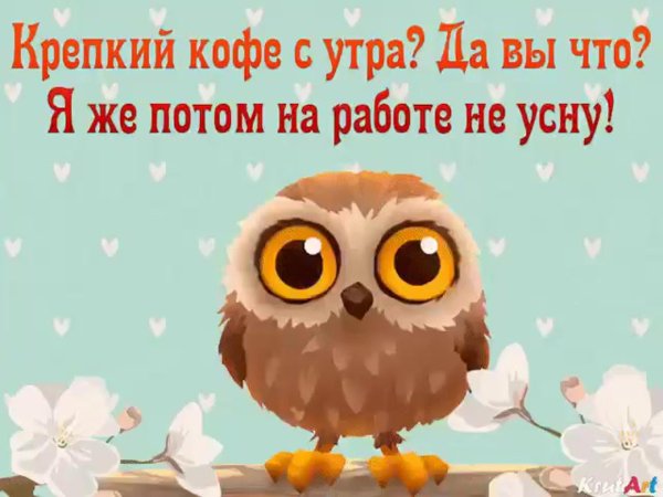 анимация сова