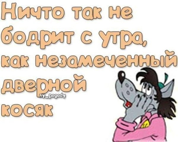 ну погоди волк