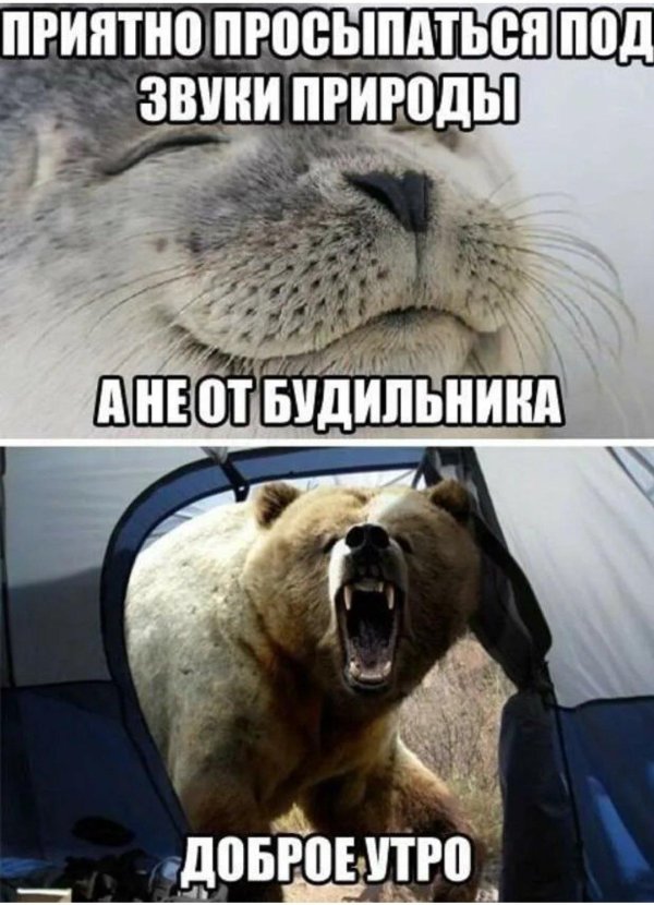 добрые приколы в картинках