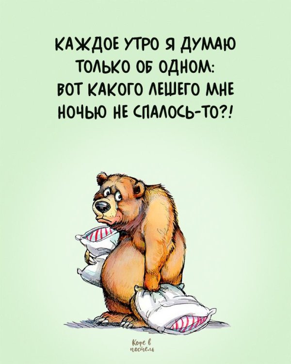 медведь устал