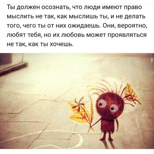 мудрая цитата