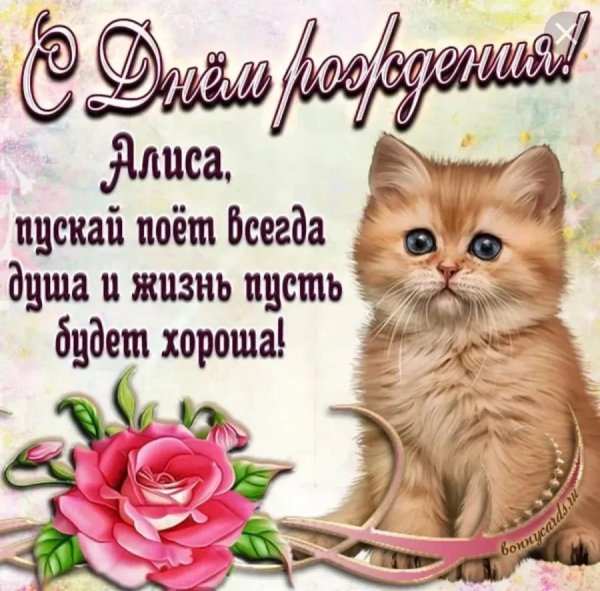 алиса поздравление