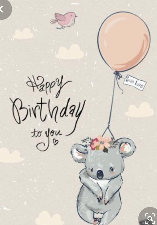 коала милая