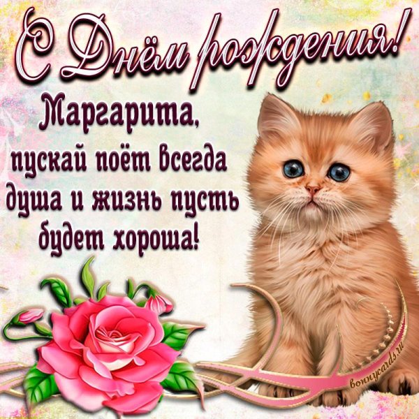 с днем рождения маргарита