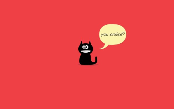 чëрная кошка