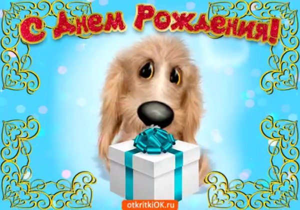 открытки с собачками смешные