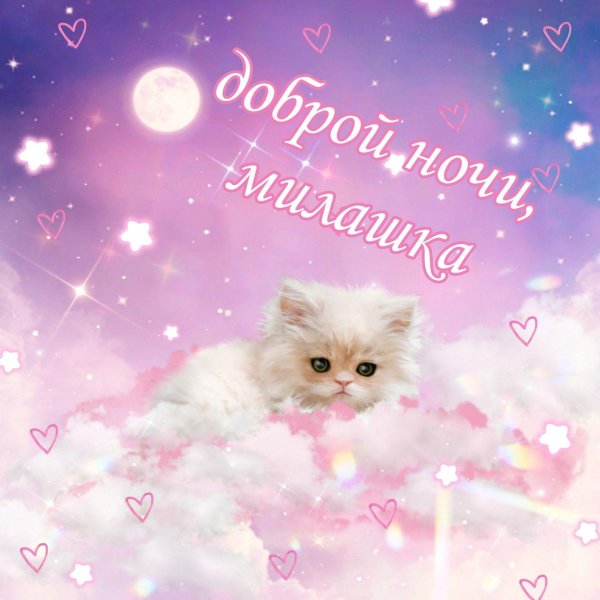 спокойной ночи милашка