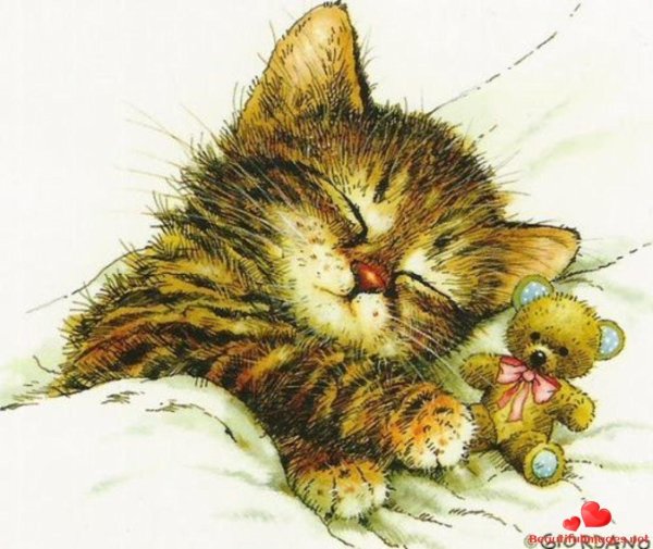 котенок открытка