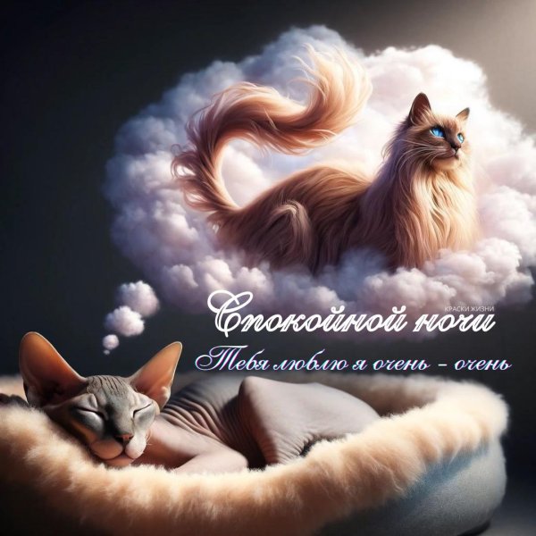 добрая ночь