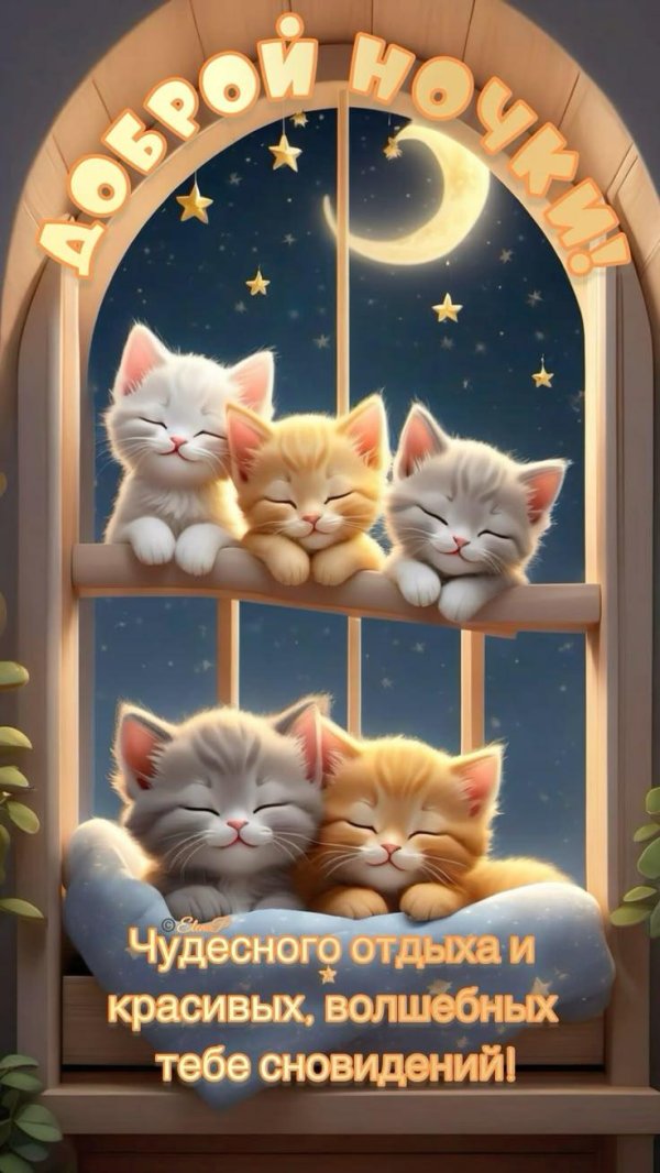 добрейшей ночки