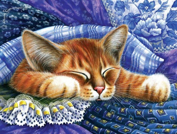 irina garmashovacawton