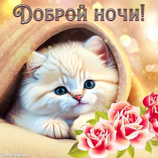 открытка доброй ночи