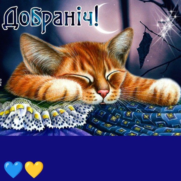 сладких снов котенок