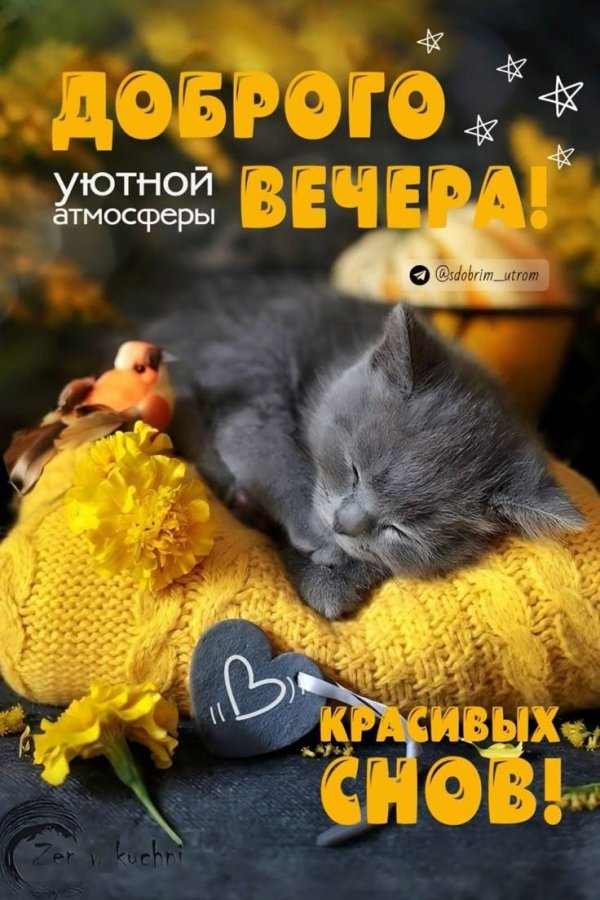 добр вечер