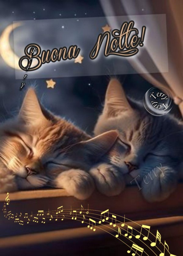 buona notte