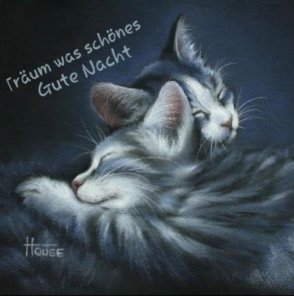 гармашова ирина картины