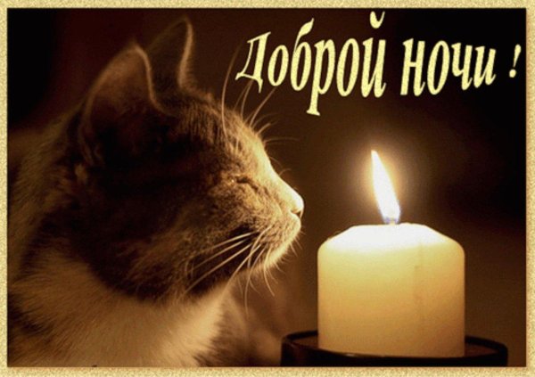 добрая ночь