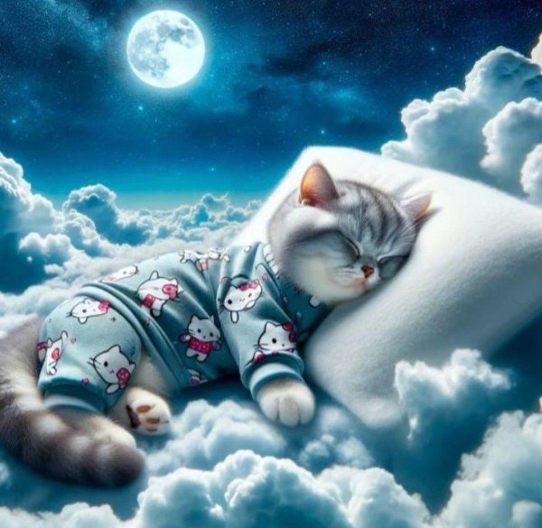 котики спокойной ночи