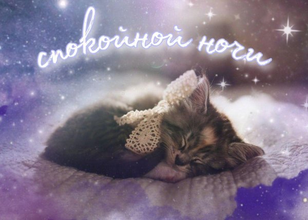 сладких сновидений