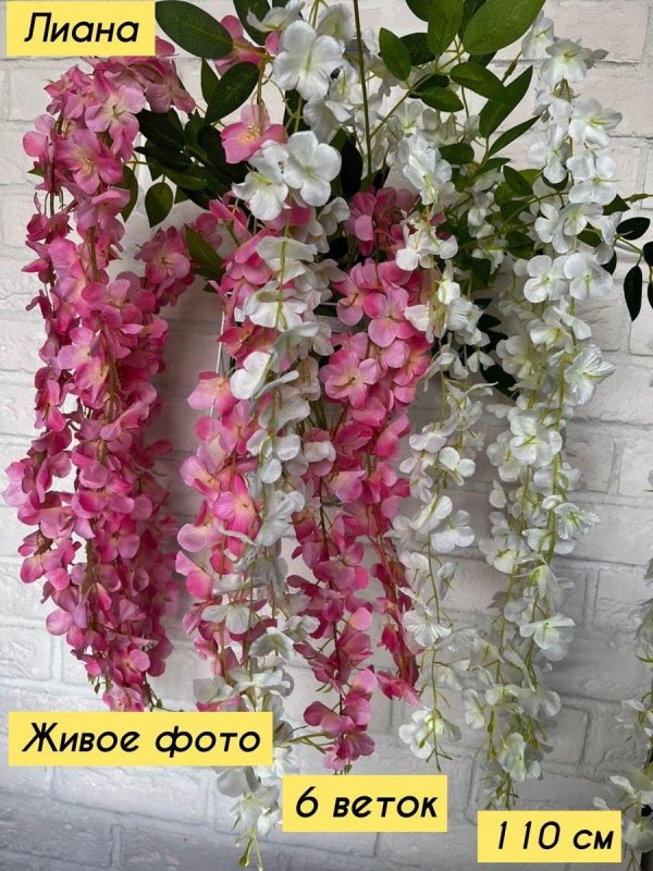 декоративные лианы