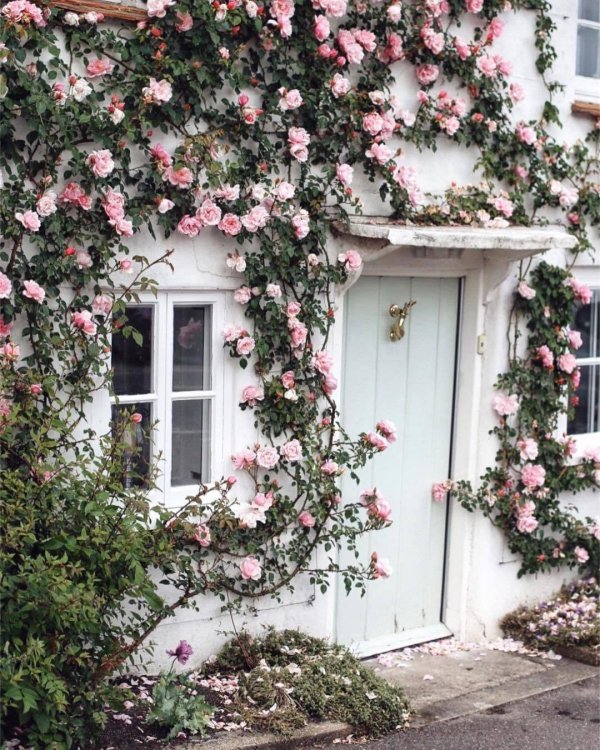 rose cottage
