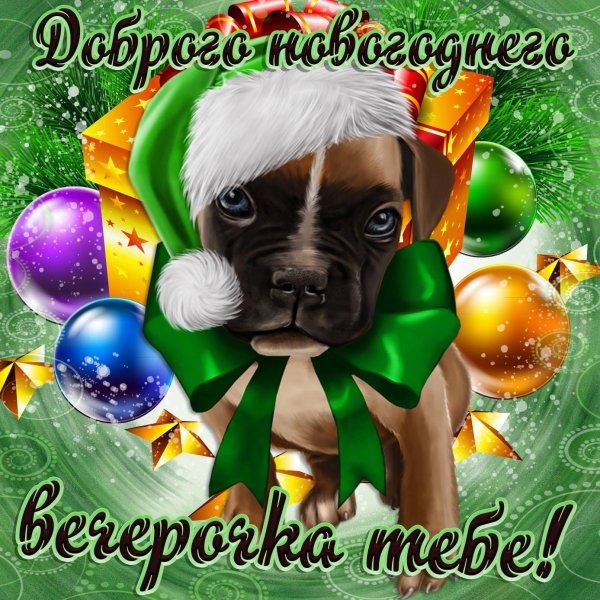 добрый вечертс собачками