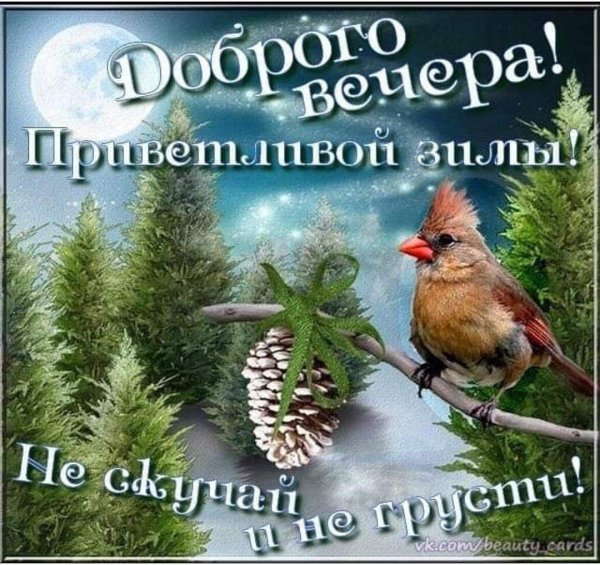 доброго вечера зимнего