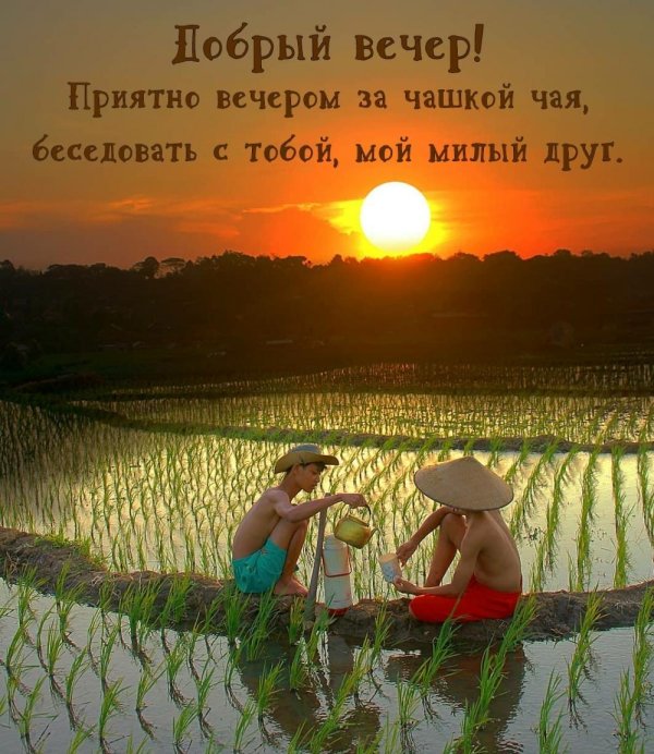 приятно вечера