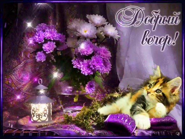 с добрым вечером открытка